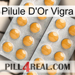 Vigra Gold Pill levitra2
